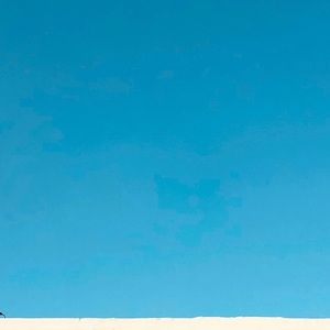 Meet your Posher, Lena